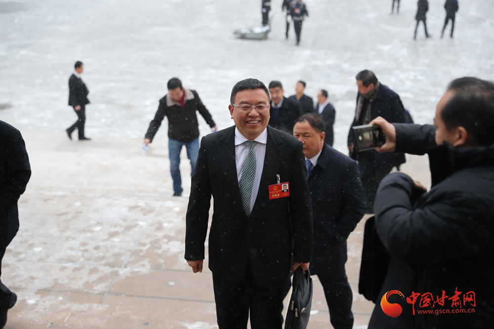 【聚焦2020甘肅兩會】“兩會”代表、委員風(fēng)采掠影（組圖）