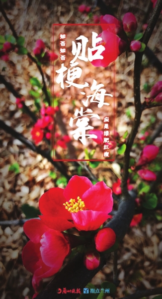 來(lái)，跟這些美美的花朵認(rèn)識(shí)一下！