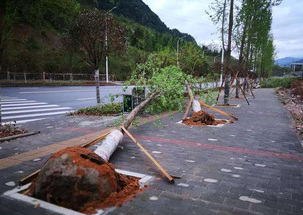 刮風(fēng)下雨加速新冠病毒傳播？別信！