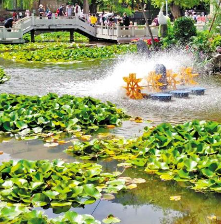 走，到五泉山公園看花展去