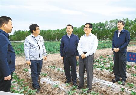林鐸在天?？h調(diào)研指導(dǎo)脫貧攻堅(jiān)工作時(shí)強(qiáng)調(diào)  拉開架勢(shì)持續(xù)用力構(gòu)建扶貧產(chǎn)業(yè)體系 多措并舉固強(qiáng)補(bǔ)弱鞏固提升脫貧成果