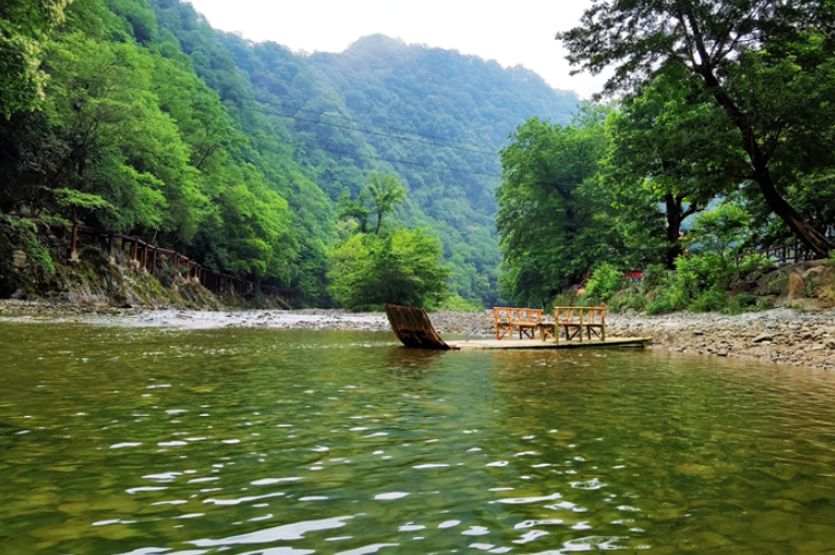 【小隴畫報·95期】康縣：來陽壩，“森”呼吸，我“氧”你