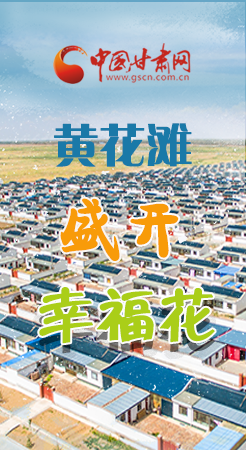 【跟著總書記看甘肅】長圖|武威黃花灘盛開幸?；?