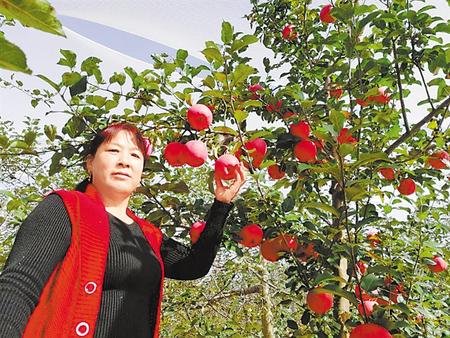 【走向我們的小康生活】馮巧葉，“大家一起過好日子”