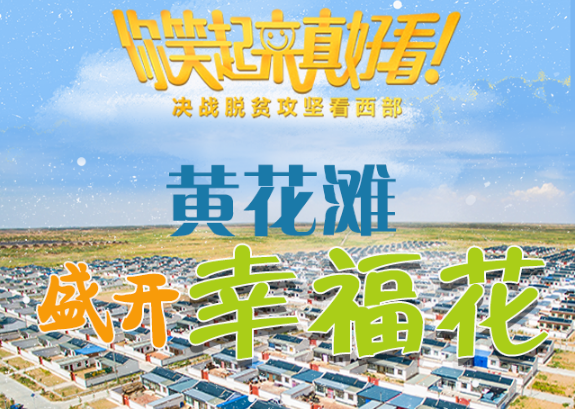 【你笑起來(lái)真好看】黃花灘盛開幸?；ǎ▓D解）