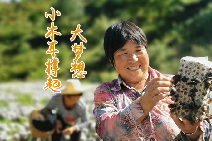 海報(bào)丨他們，乘“豐”破浪！
