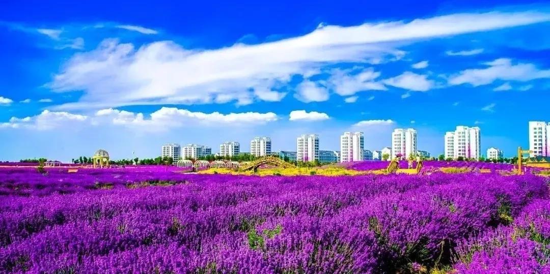 喜訊！金昌蟬聯(lián)全國文明城市