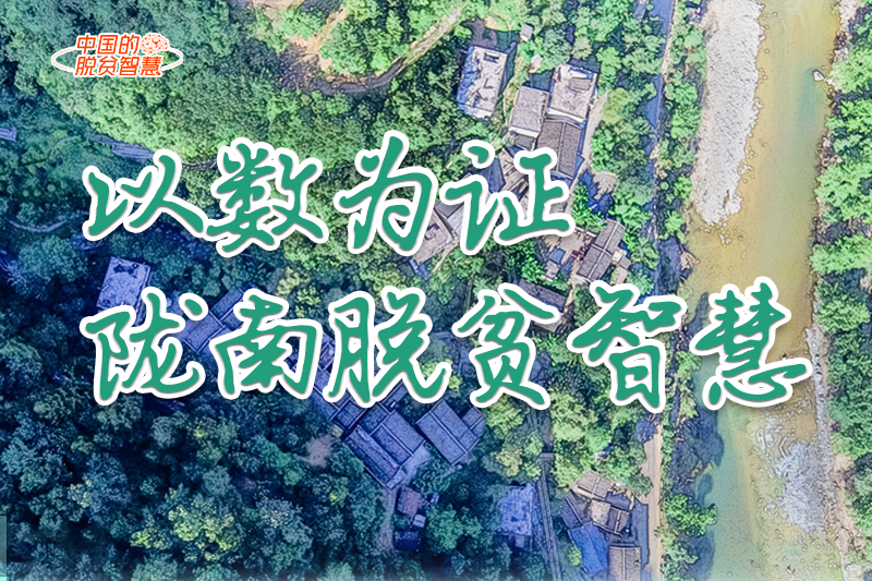 【中國的脫貧智慧】以數(shù)為證！隴南脫貧智慧來了！