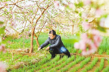 甘肅：時令催人耕種忙，不誤田間一季春