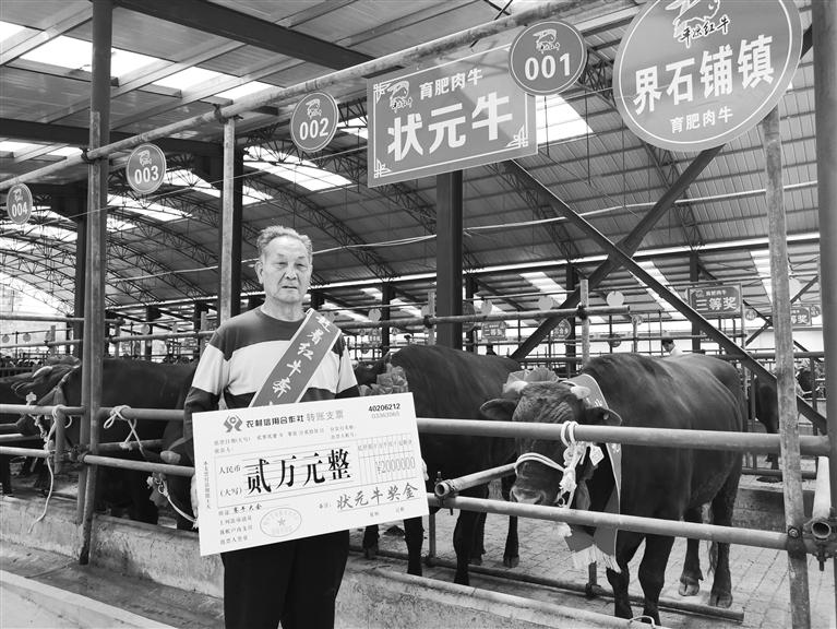 120頭“平?jīng)黾t?！膘o寧爭(zhēng)霸