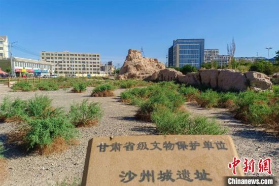 圖為沙州郡城遺址公園古遺址。　王斌銀 攝