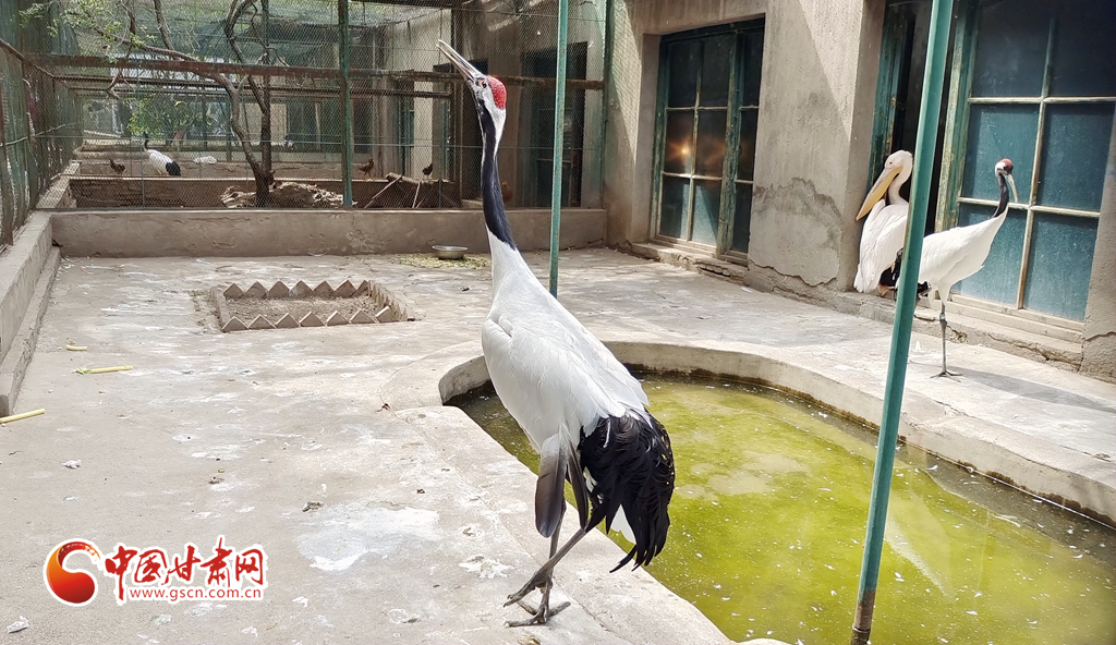蘭州公安提醒市民：非緊急非必要，不出境