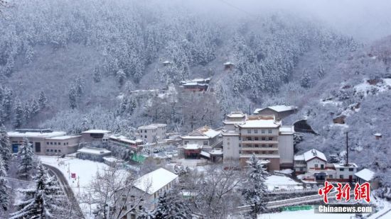 圖為籠罩在雪下的世界。吳永 攝