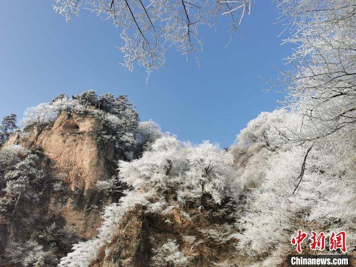 圖為藍(lán)天下霧凇籠罩山脈。　徐振華 攝