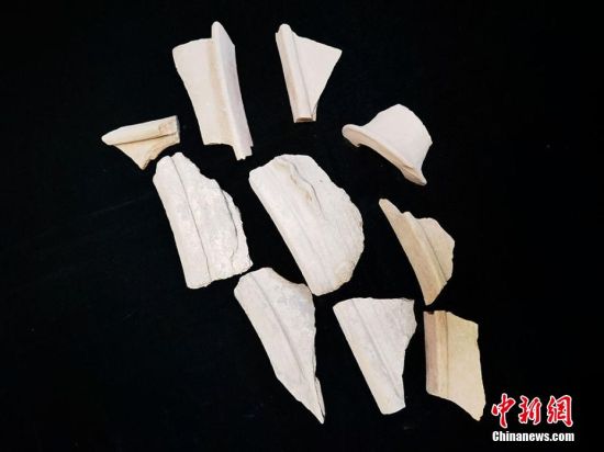 圖為靜寧縣賈河鄉(xiāng)竇坪村出土的彩陶片、紅陶片。 夏劍鋒 攝