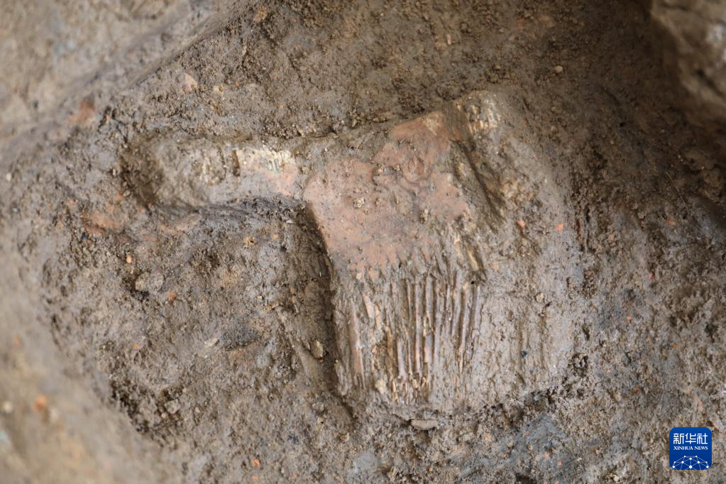 河南南陽市黃山新石器時(shí)代遺址出土的屈家?guī)X文化骨梳（資料圖）。