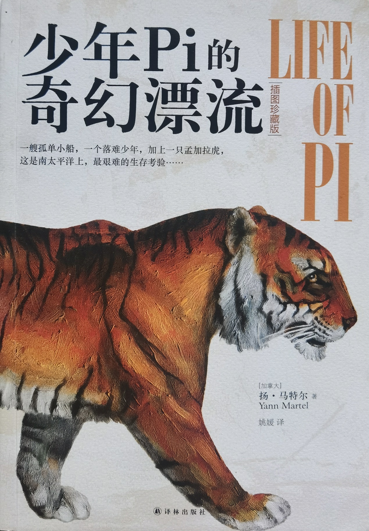 插圖1：揚？馬特爾的小說《少年pi的奇幻漂流》封面