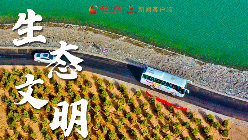 彈幕海報(bào)丨熱議甘肅省委十三屆十六次全會 網(wǎng)民聲音在回響！