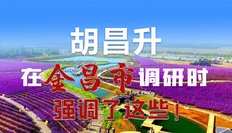 圖解|胡昌升在金昌市調(diào)研時強(qiáng)調(diào)了這些！