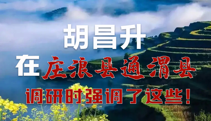 圖解|胡昌升在莊浪縣通渭縣調(diào)研時(shí)強(qiáng)調(diào)了這些！