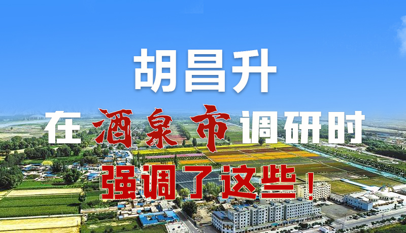 圖解|胡昌升在酒泉市調研時強調了這些！
