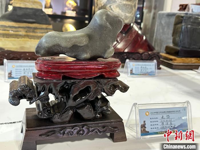 8月3日——7日，2023中國(蘭州)絲綢之路國際賞石文化節(jié)在甘肅國際會(huì)展中心舉行。圖為名為《虎符》的黃河石。楊娜 攝</p><p>