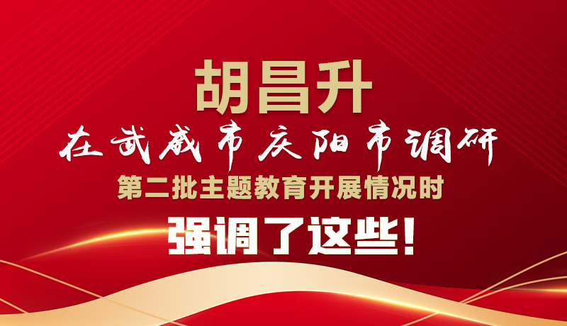 圖解|胡昌升在武威市慶陽市調(diào)研第二批主題教育開展情況時(shí)強(qiáng)調(diào)了這些！