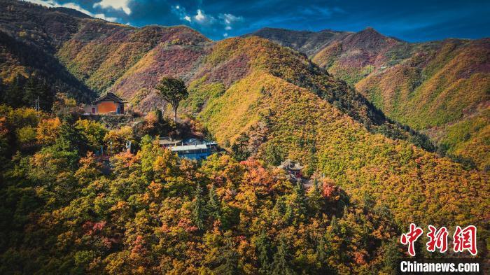 深秋，位于蘭州市榆中縣的興隆山，似打翻調(diào)色板。金峯 攝