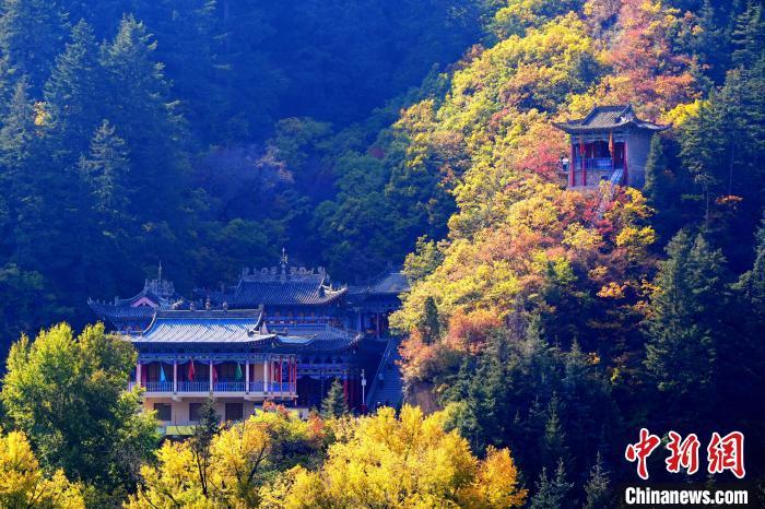 深秋，位于蘭州市榆中縣的興隆山景色如畫。宮衛(wèi)紅 攝