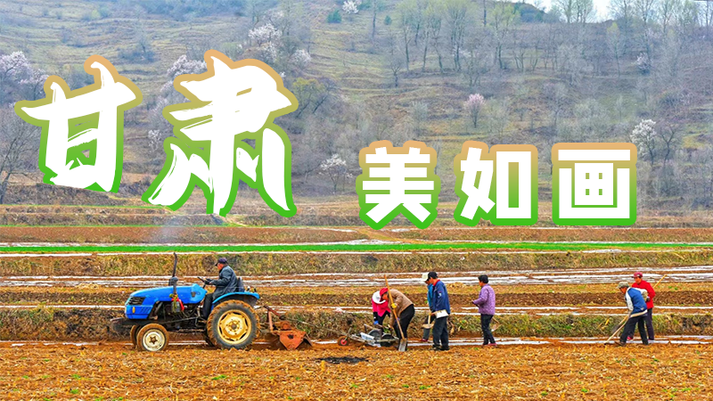 微海報|甘肅，美如畫