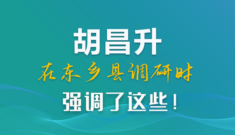 圖解|胡昌升在東鄉(xiāng)縣調(diào)研時強調(diào)了這些！