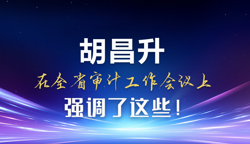 圖解|胡昌升在全省審計工作會議上強(qiáng)調(diào)了這些！