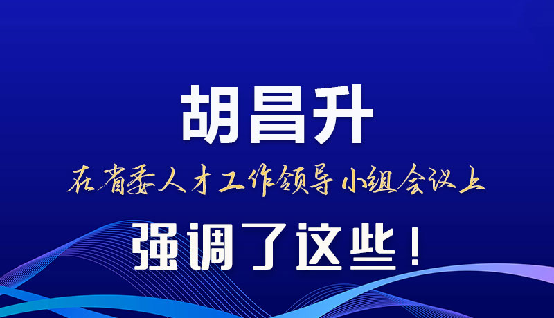 圖解|胡昌升在省委人才工作領(lǐng)導小組會議上強調(diào)了這些！