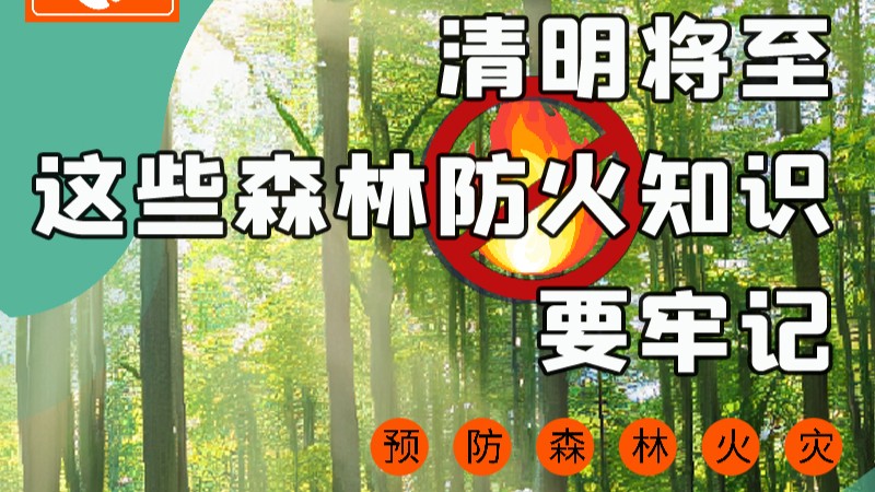 【甘快看】圖解|緊繃“安全弦”！清明，這些森林防火知識要牢記