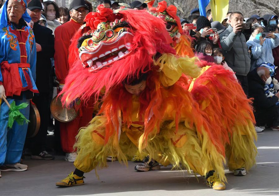 蘭州北獅表演現(xiàn)場(chǎng)。受訪者供圖